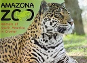 Amazona Zoo 2009 - Jaguar